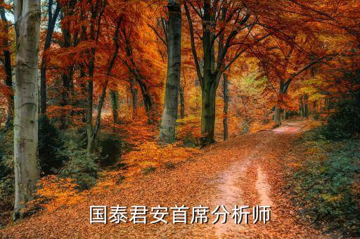 國(guó)泰君安首席分析師