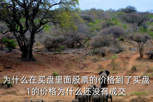 為什么股票買(mǎi)一價(jià)不交易，為什么在買(mǎi)盤(pán)里面股票的價(jià)格到了買(mǎi)盤(pán)1的價(jià)格為什么還沒(méi)有成交