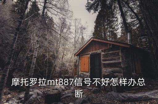香港為什么要直選，iPhone4 真的會(huì)被三星Galaxy S2i9100秒殺嗎如果給你選你會(huì)選
