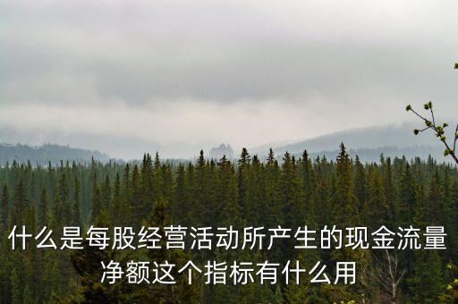 什么是每股經(jīng)營活動(dòng)所產(chǎn)生的現(xiàn)金流量凈額這個(gè)指標(biāo)有什么用