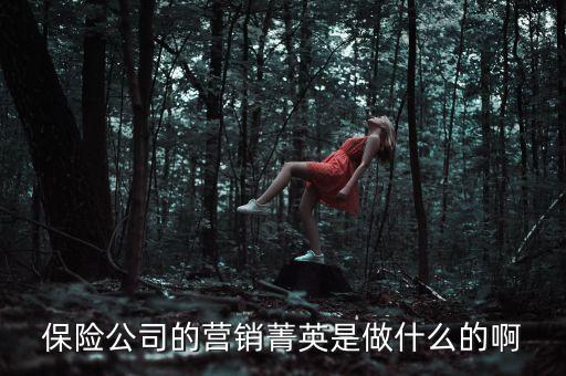 保險(xiǎn)公司什么是一線營(yíng)銷，保險(xiǎn)公司的營(yíng)銷菁英是做什么的啊
