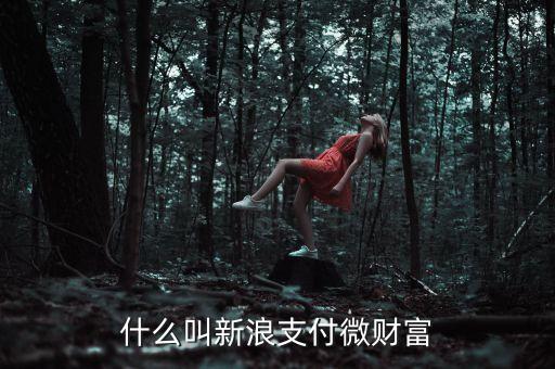 微財(cái)富紅包互助是什么，什么叫新浪支付微財(cái)富