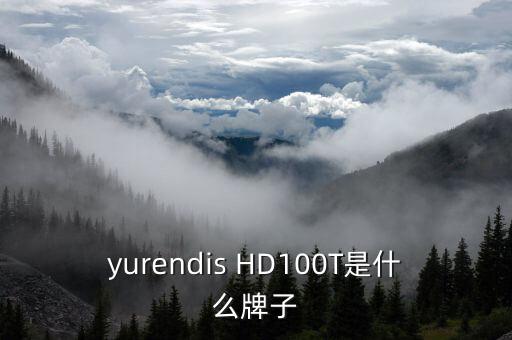 寶塔油100t是什么，100t表示什么
