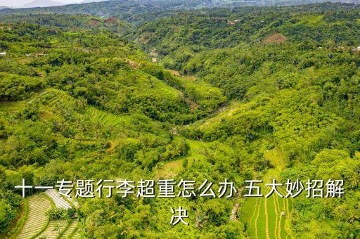 十一專題行李超重怎么辦 五大妙招解決