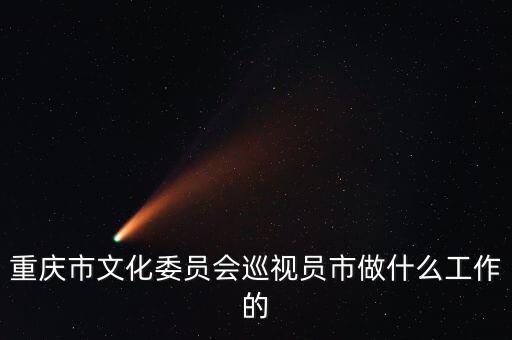重慶市文化委員會(huì)巡視員市做什么工作的