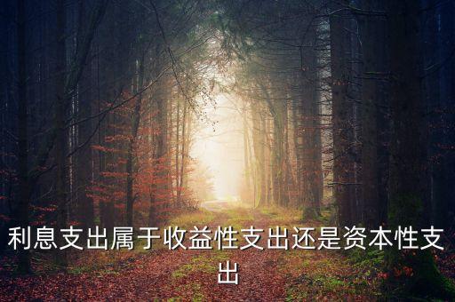 債務(wù)利息支出屬于什么，利息支出屬于收益性支出還是資本性支出