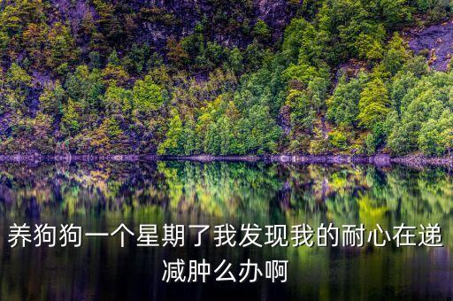養(yǎng)狗狗一個星期了我發(fā)現(xiàn)我的耐心在遞減腫么辦啊