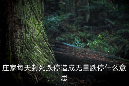 莊家每天封死跌停造成無(wú)量跌停什么意思