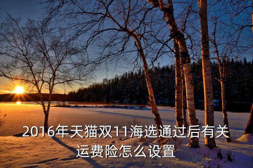 2016年天貓雙11海選通過后有關(guān)運費險怎么設置