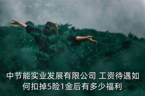 中節(jié)能集團什么級別，中節(jié)能實業(yè)發(fā)展有限公司 工資待遇如何扣掉5險1金后有多少福利