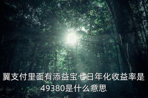 翼支付添益寶用戶是什么意思，翼支付里面有添益寶七日年化收益率是49380是什么意思