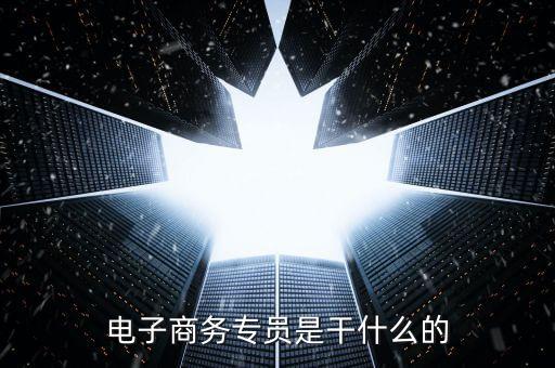 電子商務(wù)專員是干什么的
