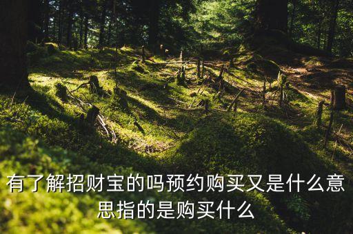 有了解招財(cái)寶的嗎預(yù)約購(gòu)買又是什么意思指的是購(gòu)買什么