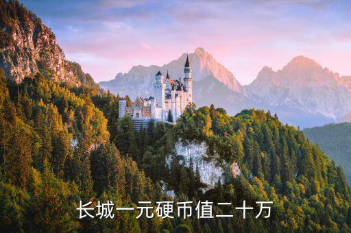 市場(chǎng)價(jià)值20萬(wàn)的硬幣是什么，NGANHANGNHANUOCVIETNAM是什么錢(qián)面值是20萬(wàn)的