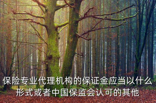 保險(xiǎn)專業(yè)代理機(jī)構(gòu)的保證金應(yīng)當(dāng)以什么形式或者中國保監(jiān)會認(rèn)可的其他