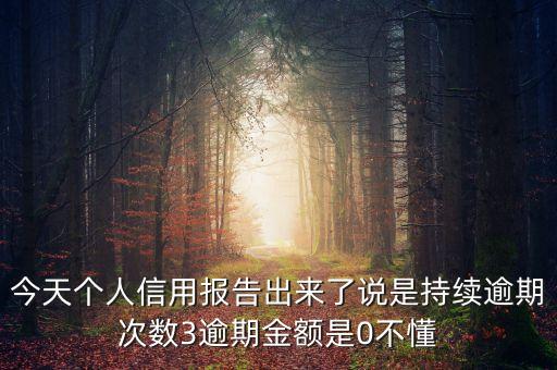 信用報告出現(xiàn)了3是什么意思，個人征信上其他貸款寫的3是什么意思