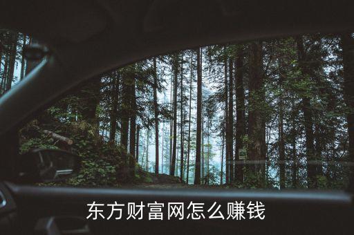 東方財富靠什么賺錢，東方財富網(wǎng) 靠什么盈利