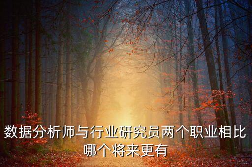 數(shù)據(jù)分析師與行業(yè)研究員兩個(gè)職業(yè)相比哪個(gè)將來更有