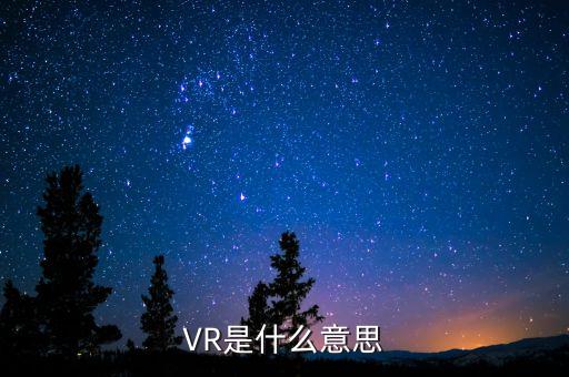 VR是什么意思