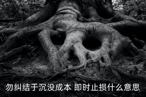 勿糾結(jié)于沉沒成本 即時止損什么意思