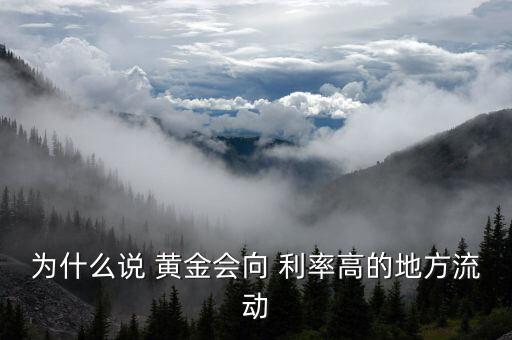 為什么投資會流向利率高的國家，在其他條件相對不變的情況下 為什么資金會從利率低的國家流向利率高