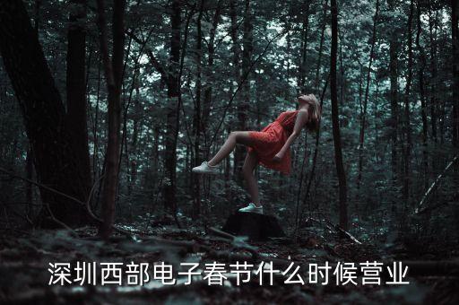 深圳西部電子春節(jié)什么時(shí)候營業(yè)