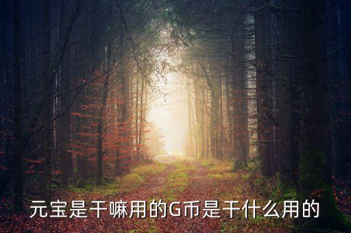 元寶是干嘛用的G幣是干什么用的