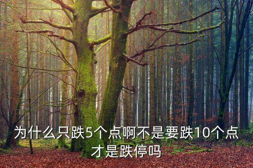 股票跌5個點是什么概念，股票什么的說升或降五個點是什么意思