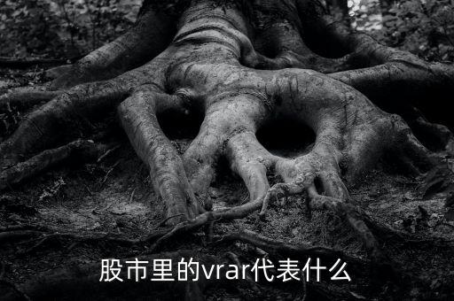 股市中vr是什么意思，股市指數(shù)中的VR是什么意思呢