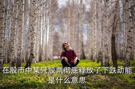 在股市中某只股票徹底釋放了下跌動(dòng)能是什么意思
