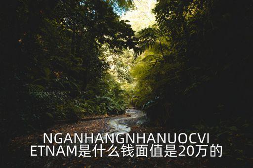 NGANHANGNHANUOCVIETNAM是什么錢面值是20萬的