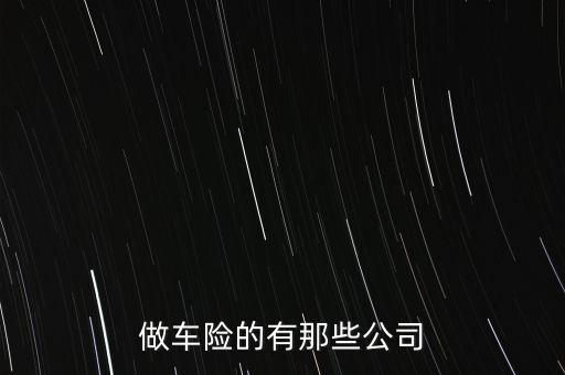 做車(chē)險(xiǎn)的有那些公司