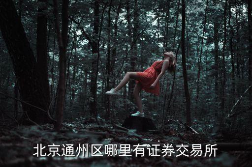北京通州區(qū)哪里有證券交易所