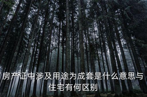 什么是成套項(xiàng)目，什么叫中型成套工程項(xiàng)目