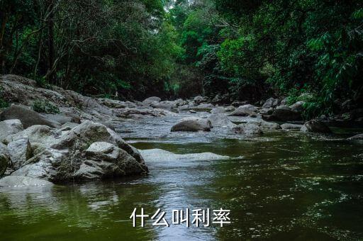 什么叫做利率，什么叫做利率