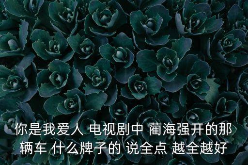 150093是什么車，你是我愛人 電視劇中 藺海強開的那輛車 什么牌子的 說全點 越全越好