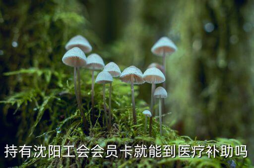 沈陽建行工會卡什么用，工會會員服務(wù)卡有什么用