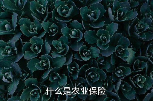 什么是農(nóng)業(yè)保險