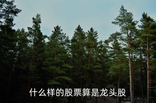 什么樣的股票算是龍頭股