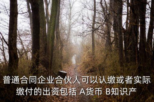 普通合同企業(yè)合伙人可以認(rèn)繳或者實際繳付的出資包括 A貨幣 B知識產(chǎn)