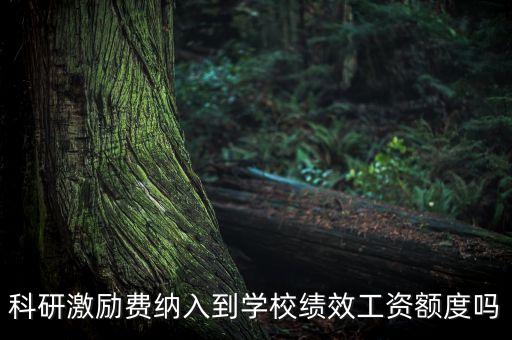 科研激勵費納入到學校績效工資額度嗎