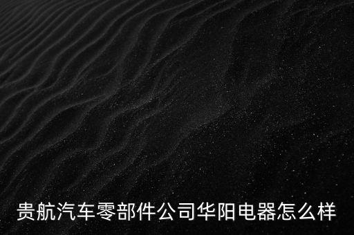貴航集團(tuán)華陽電工廠是什么企業(yè)，貴航汽車零部件公司華陽電器怎么樣
