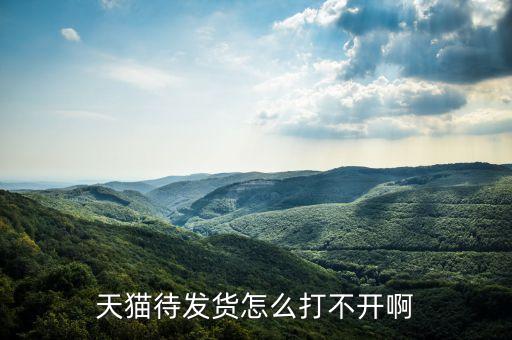 天貓待發(fā)貨怎么打不開(kāi)啊