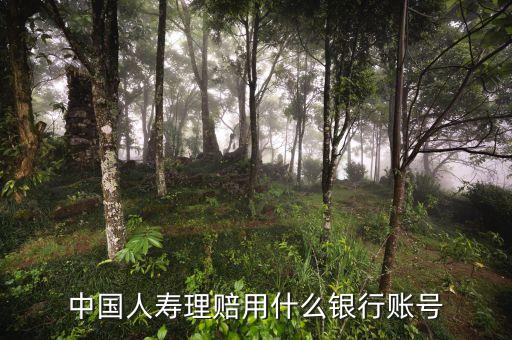 中國人壽理賠用什么銀行賬號(hào)