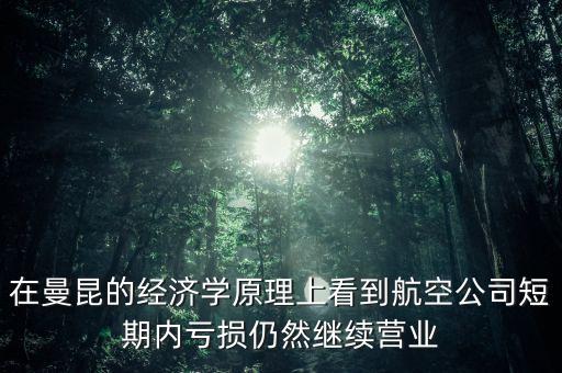 美國(guó)航空公司為什么大多數(shù)虧損，我每條航線都在盈利大概100300總資產(chǎn)為什么不斷虧損呢
