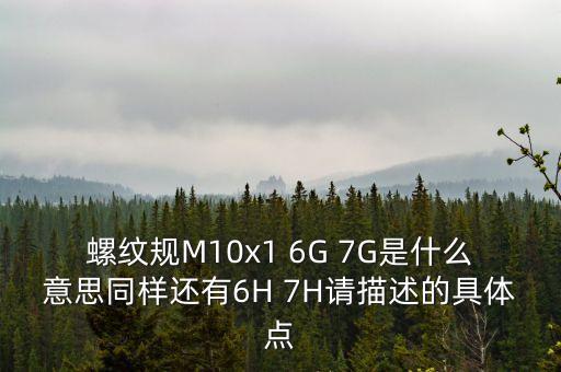 螺紋規(guī)M10x1 6G 7G是什么意思同樣還有6H 7H請描述的具體點(diǎn)