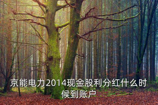 京能電力2014現(xiàn)金股利分紅什么時候到賬戶