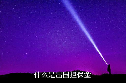 什么是出國(guó)擔(dān)保金