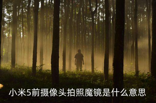 拍拍貸魔鏡什么意思，我拍拍貸的魔鏡等級(jí)怎么從AA變成C了是升了還是降了