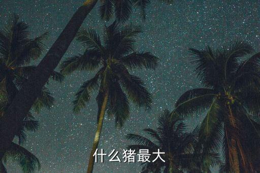 什么豬最大能長40金，什么豬最大